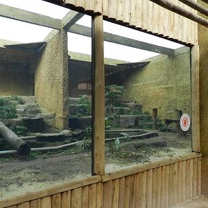 Cougar exhibit - BioParque do Rio