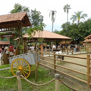 Petting zoo - BioParque do Rio