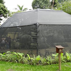 Twilight exhibit - BioParque do Rio