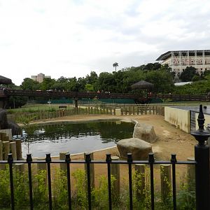 Hippo exhibit - BioParque do Rio