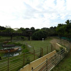 African savanna - BioParque do Rio