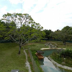 African savanna - BioParque do Rio