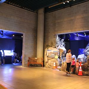 Discovery Bay Overview