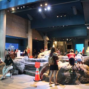 Discovery Bay Overview