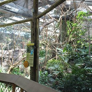Rhinoceros Hornbill Exhibit - Tropics Trail
