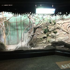 Two-Toed Sloth Exhibit - Tropics Trail
