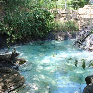 American Beaver Exhibit - Minnesota Trail