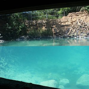 American Beaver Exhibit - Minnesota Trail