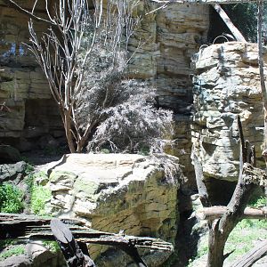 Fisher Exhibit - Minnesota Trail