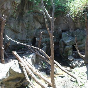 Wolverine Exhibit #1 - Minnesota Trail