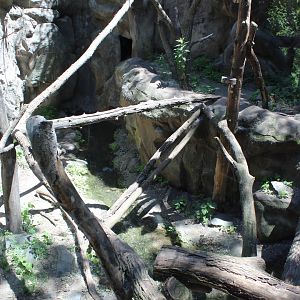 Wolverine Exhibit #2 - Minnesota Trail