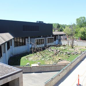 Japanese Macaque Exhibit