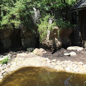 Wild Boar Exhibit - Russia's Grizzly Coast
