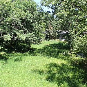 Amur Tiger Exhibit #1 (Can You Spot The Tiger?)