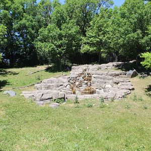 Sichuan Takin Exhibit - Northern Trail