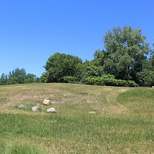 Pronghorn Exhibit - Northern Trail