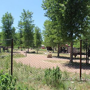 Llama Trek - Northern Trail