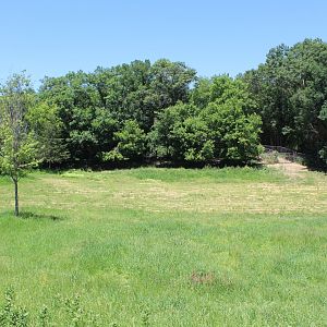 Caribou Exhibit - Northern Trail