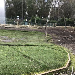Brazilian tapir enclosure