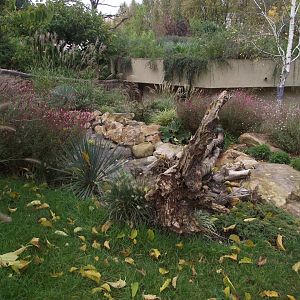 Tasmanian Devils' enclosure - Zooparc de Beauval - 10/2019