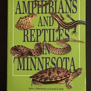 Amphibians and Reptiles in Minnesota