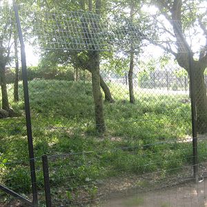 Munkholm Zoo - Dhole exhibit