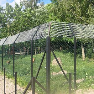 Munkholm Zoo - Dhole exhibit