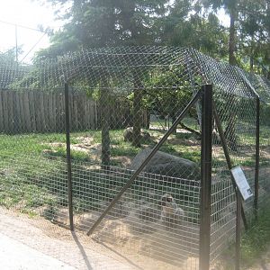 Munkholm Zoo - Fox exhibit