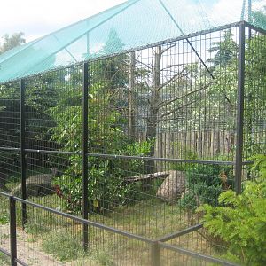 Munkholm Zoo - Serval exhibit #1