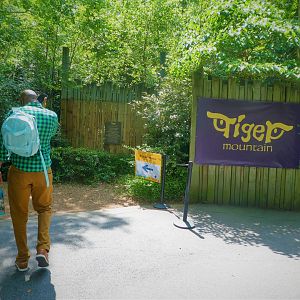 Tiger Mountain - Entrance