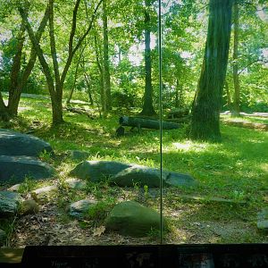 Tiger Mountain - Second Tiger Exhibit