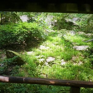 Himalayan Highlands - First Snow Leopard Exhibit