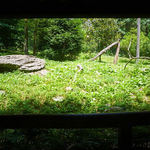 Himalayan Highlands - Third Snow Leopard Exhibit
