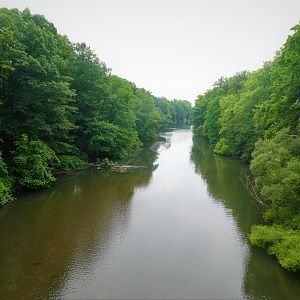 Wild Asia - Bengali Express Monorail - View of Bronx River