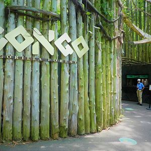 Africa - Congo Gorilla Forest - Entrance