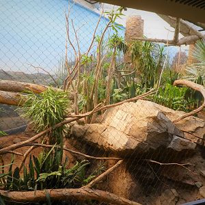 Madagascar! - Spiny Forest - Main Exhibit