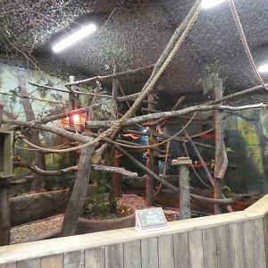 Sloth enclosure