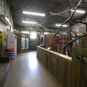 Sloth Forest exhibit