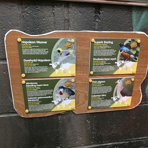 Sloth Forest bird signage