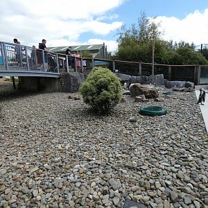Part of penguin enclosure