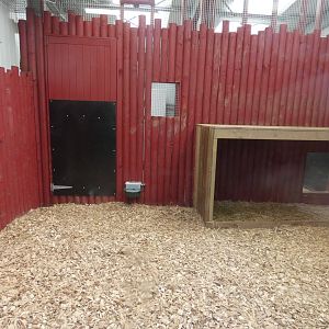 Dhole indoor enclosure