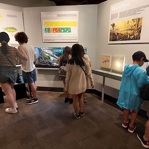 World of the Insect entery hall overview