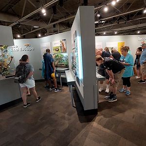 World of the Insect overview