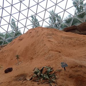 Sand Dune (Red Sand), The Namib Desert, Desert Dome - Jun. 2021