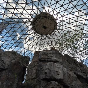 Desert Dome - Jun. 2021