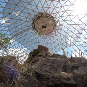 Desert Dome - Jun. 2021