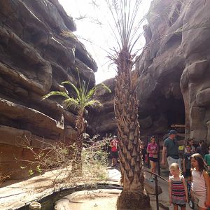 The Namib Desert, Desert Dome - Jun. 2021