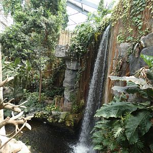 Waterfall, South America, Lied Jungle - Jun. 2021