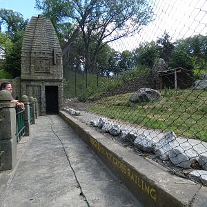 Tiger Training Area, Asian Highlands - Jun. 2021