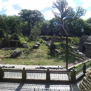 Tiger Training Area, Asian Highlands - Jun. 2021